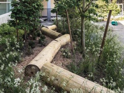 Nature play