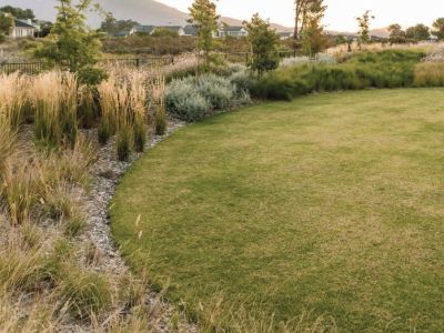 Open grass